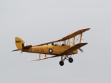 Tiger Moths 2026