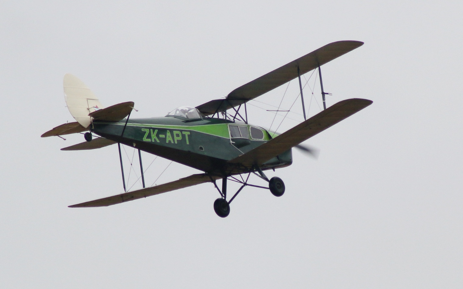 Tiger Moths 2026