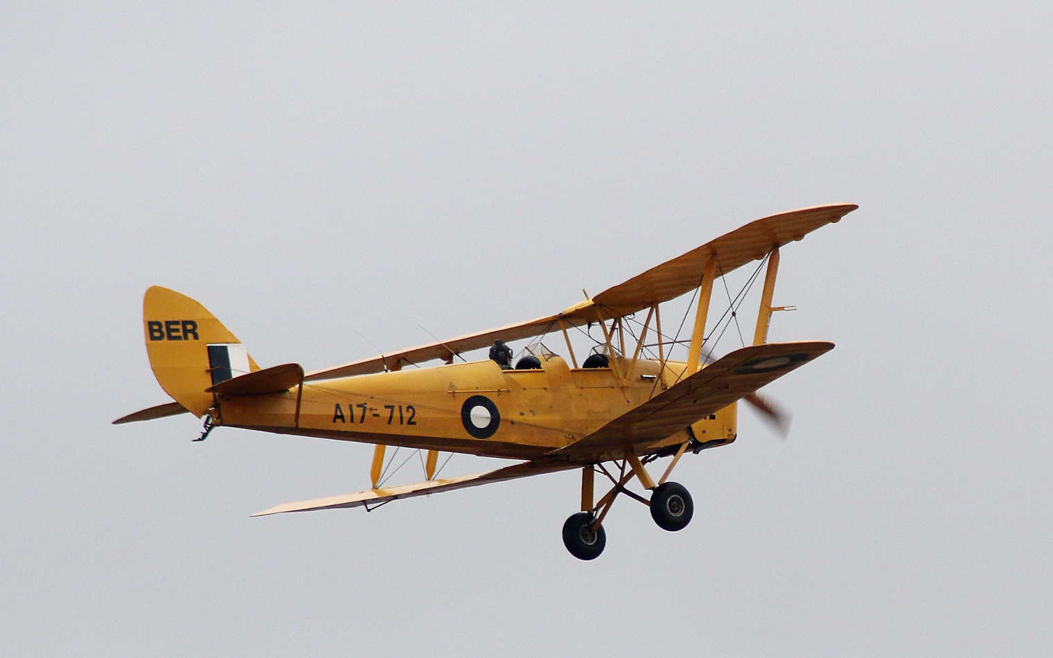 Tiger Moths 2026