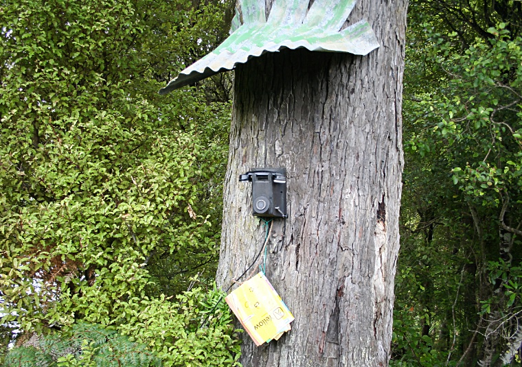 Stewart Island 2009