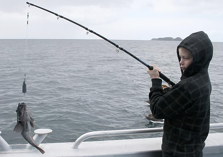 Stewart Island 2009