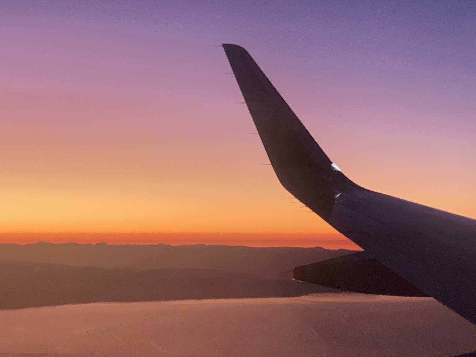 Flight into Wellington